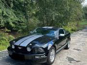 image_0-FORD Mustang