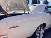 image_4-CHEVROLET Chevelle Malibu Sport - 1966