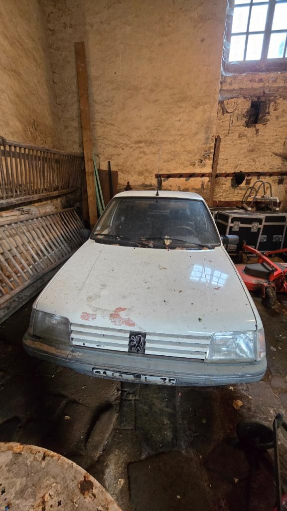 PEUGEOT 205 - 1992 LesAnciennes.com