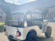image_5-JEEP Willys CJ3B - 1956