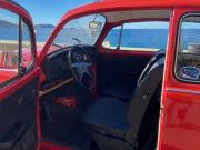 image_9-VOLKSWAGEN Coccinelle 1200 - 1976