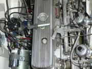 image_5-AUSTIN HEALEY 3000 MK2 - 1962
