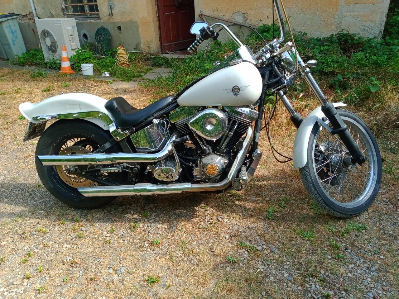 HARLEY DAVIDSON softail custom 1340 SOFTAIL - 1985 LesAnciennes.com