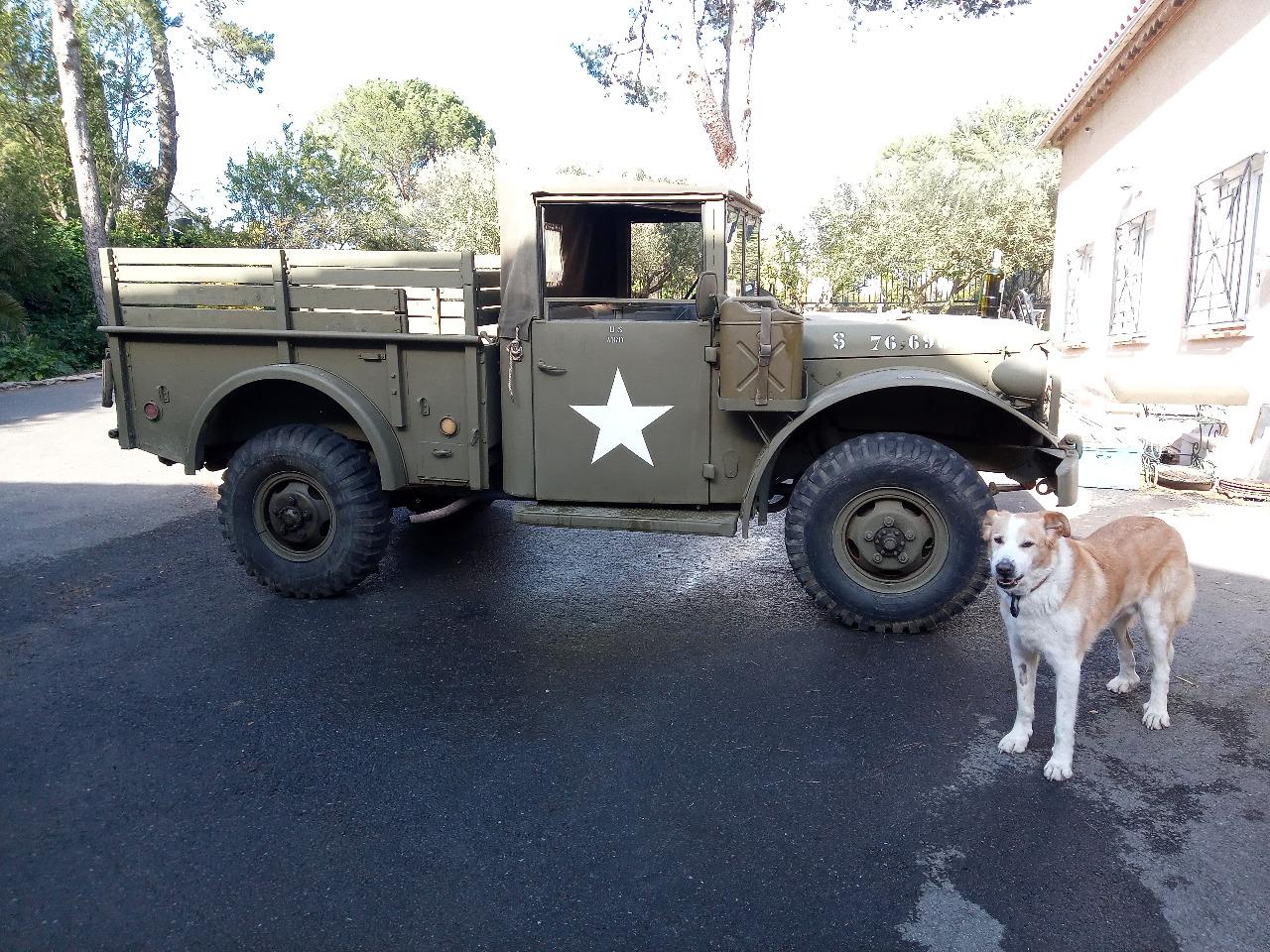 DODGE M37 T 245 - 1951 LesAnciennes.com