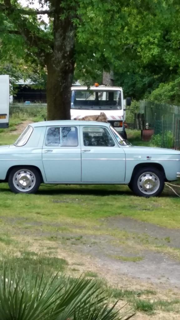 RENAULT 8 (R8) 1132 - 1967 LesAnciennes.com