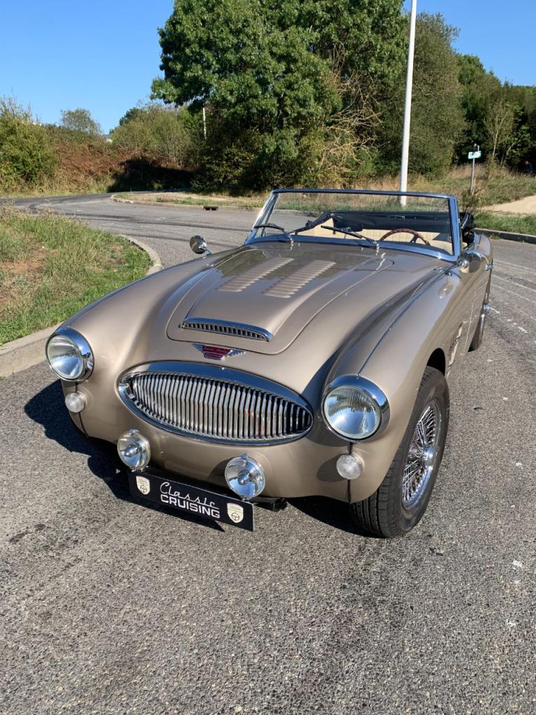 AUSTIN HEALEY 3000 BJ8 - 1965 LesAnciennes.com