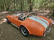 image_3-AC Cobra Pilngrim. Échange re - 2004