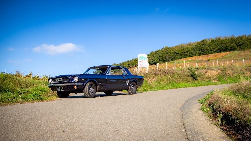 FORD Mustang coupé V8 - 1966 LesAnciennes.com