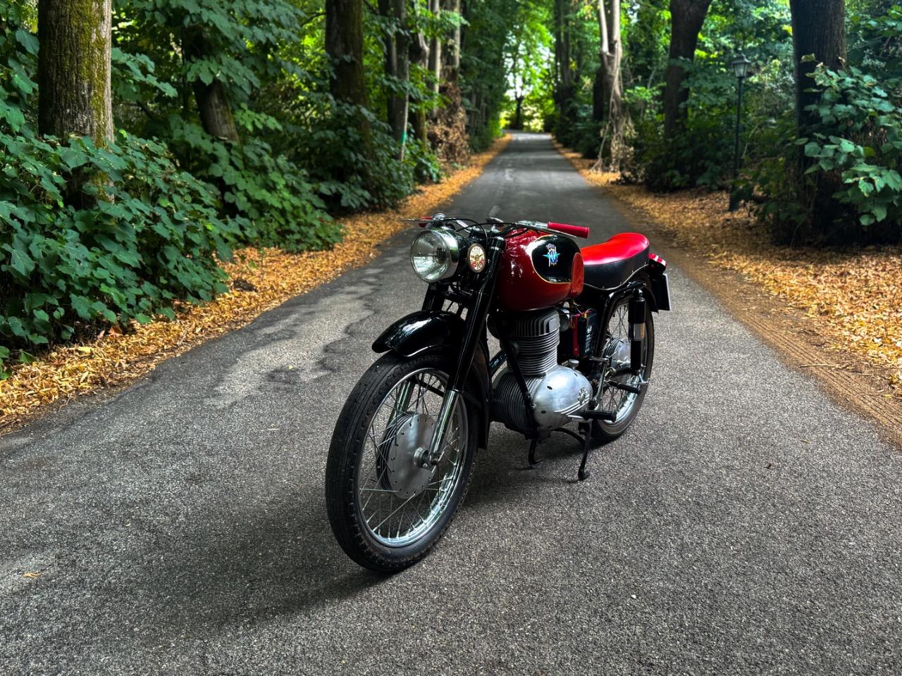 MV AGUSTA 175 CSTL - 1956 LesAnciennes.com