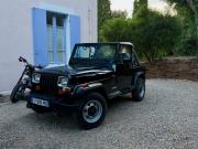 image_0-JEEP Wrangler TEXAN - 1989