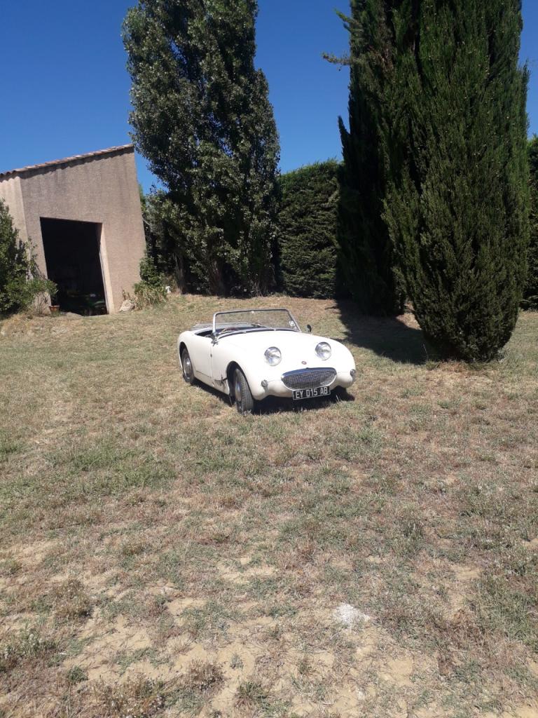 AUSTIN HEALEY Sprite - 1961 LesAnciennes.com