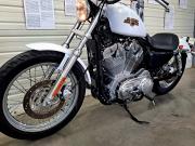 image_2-HARLEY DAVIDSON Sportster 883 LOW