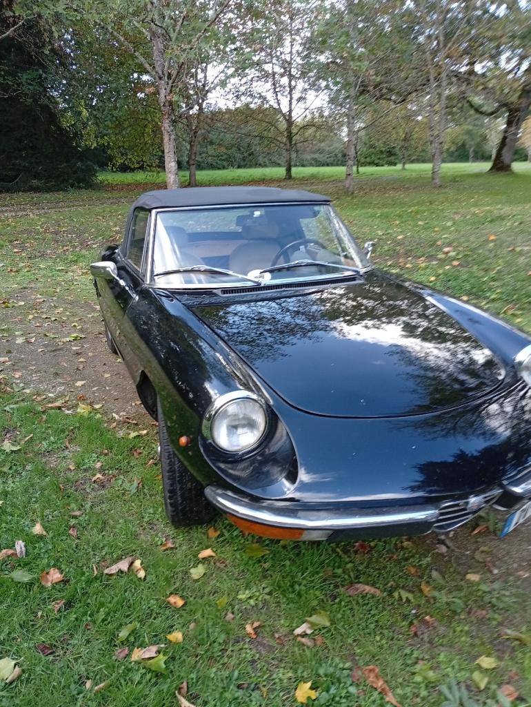 ALFA ROMEO Spider coda tronca - 1981 LesAnciennes.com