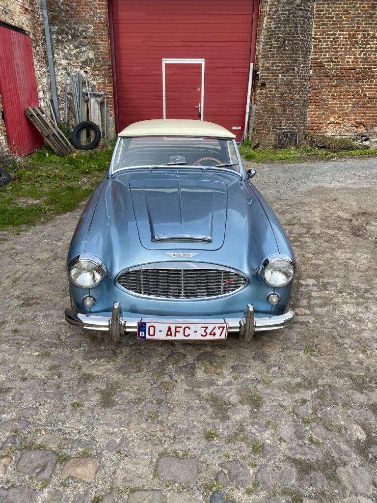 AUSTIN HEALEY 100 - 1957 LesAnciennes.com