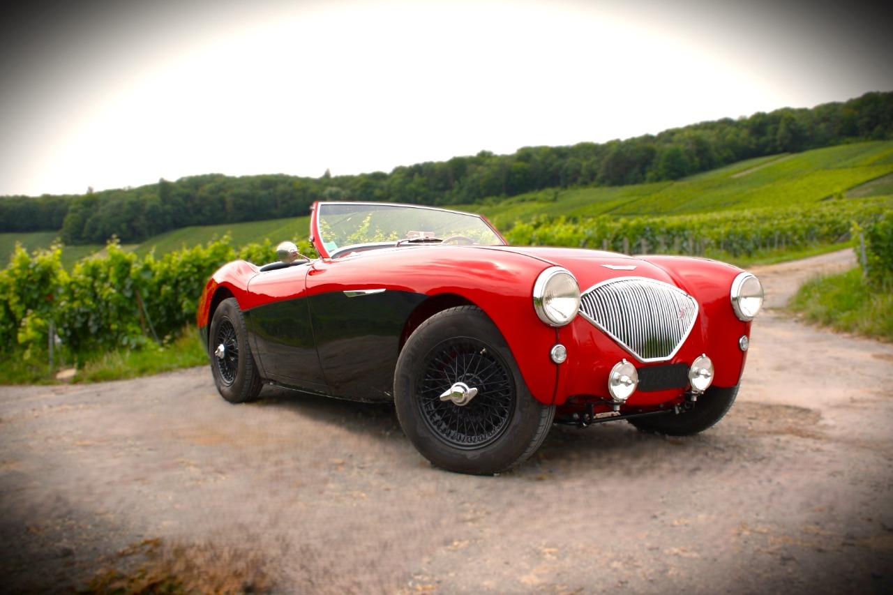 AUSTIN HEALEY 100 BN1 - 1953 LesAnciennes.com