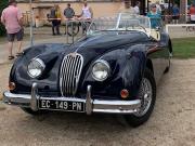 image_0-JAGUAR XK140 OTS - 1955
