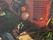 image_1-MASSEY HARRIS Pony 812 - 1955
