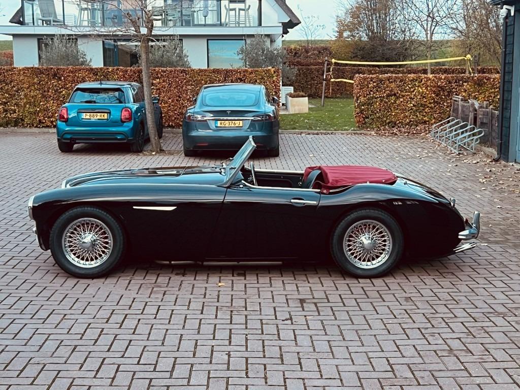 AUSTIN HEALEY 100 - 1959 LesAnciennes.com