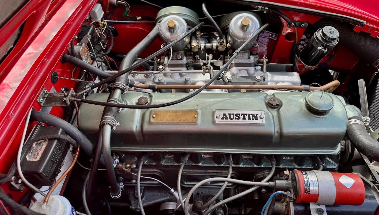 AUSTIN HEALEY 3000 MK3 BJ8 - 1964 LesAnciennes.com