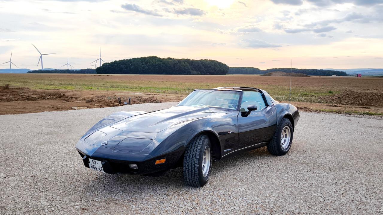 CHEVROLET Corvette - 1978 LesAnciennes.com