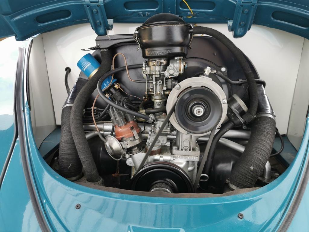VOLKSWAGEN Coccinelle Beetle 1964 - 1964 LesAnciennes.com